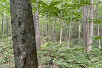 Property for sale in Orleans County, Vermont