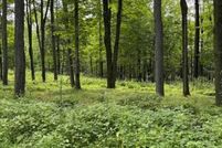 Undeveloped Land for sale in Shawano County, Wisconsin