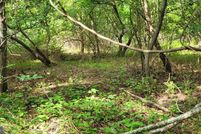 Undeveloped Land for sale in Somerset County, Maryland