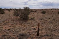 Undeveloped Land for sale in Navajo County, Arizona
