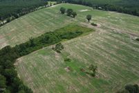 Undeveloped Land for sale in Greene County, Mississippi