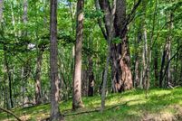 Lakefront Property for sale in Mecosta County, Michigan