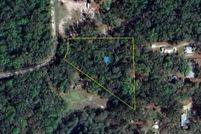 Undeveloped Land for sale in Dixie County, Florida
