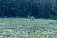 Property for sale in Merrimack County, New Hampshire