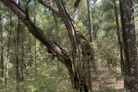 Property for sale in Dorchester County, South Carolina