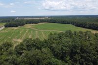 Undeveloped Land for sale in Clarendon County, South Carolina