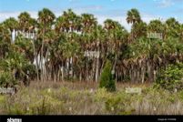Property for sale in Collier County, Florida