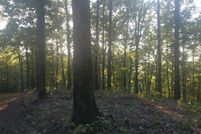 Property for sale in Pike County, Arkansas