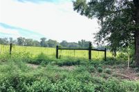 Undeveloped Land for sale in Bulloch County, Georgia