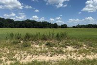 Undeveloped Land for sale in Henderson County, Texas
