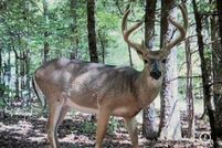 Property for sale in Crawford County, Arkansas