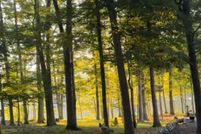 Property for sale in Schuylkill County, Pennsylvania