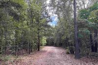 Undeveloped Land for sale in Wood County, Texas