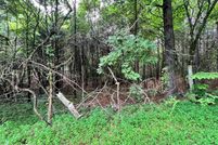 Undeveloped Land for sale in Meigs County, Tennessee