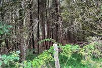 Undeveloped Land for sale in Meigs County, Tennessee