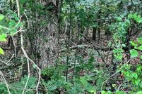 Undeveloped Land for sale in Meigs County, Tennessee