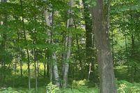Undeveloped Land for sale in Langlade County, Wisconsin