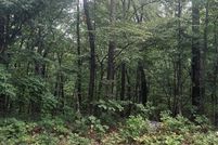 Undeveloped Land for sale in Catoosa County, Georgia