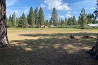 Undeveloped Land for sale in Shasta County, California