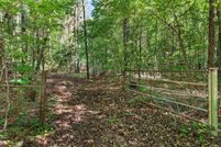 Undeveloped Land for sale in Marion County, Texas