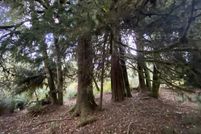 Property for sale in Clatsop County, Oregon