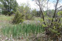Property for sale in Archuleta County, Colorado