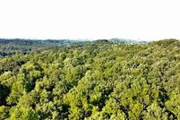 Undeveloped Land for sale in Forsyth County, Georgia