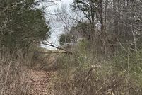 Undeveloped Land for sale in Grayson County, Texas