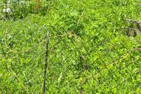Undeveloped Land for sale in Licking County, Ohio