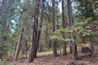Property for sale in Trinity County, California