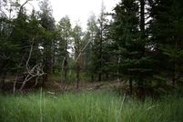 Property for sale in Lawrence County, South Dakota