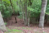 Property for sale in Gilmer County, Georgia