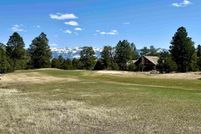 Undeveloped Land for sale in Ouray County, Colorado