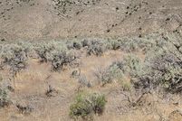 Undeveloped Land for sale in Pershing County, Nevada