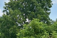 Undeveloped Land for sale in Genesee County, Michigan