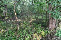 Property for sale in Carroll County, Ohio