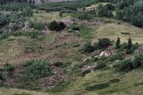 Property for sale in La Plata County, Colorado