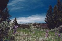 Lakefront Property for sale in Silver Bow County, Montana