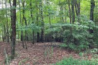 Undeveloped Land for sale in Cherokee County, North Carolina