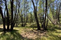 Undeveloped Land for sale in Siskiyou County, California