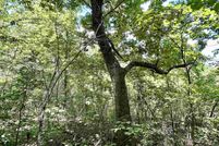 Property for sale in Baxter County, Arkansas