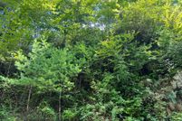 Undeveloped Land for sale in Clay County, North Carolina