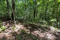 Undeveloped Land for sale in Towns County, Georgia