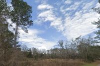 Undeveloped Land for sale in Escambia County, Florida