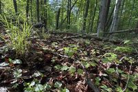 Property for sale in Charlevoix County, Michigan