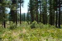Property for sale in Plumas County, California