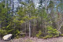 Undeveloped Land for sale in Presque Isle County, Michigan