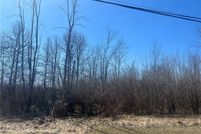 Undeveloped Land for sale in Ashtabula County, Ohio