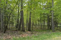 Property for sale in Emmet County, Michigan