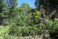 Undeveloped Land for sale in Alcona County, Michigan